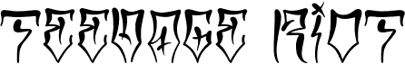 TF Teenage Riot