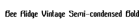 Bee Ridge Vintage