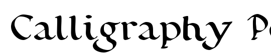 Calligraphy Pen