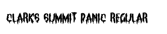 Clarks Summit Panic