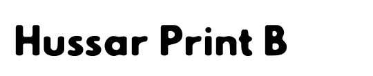 Hussar Print B