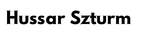 Hussar Szturm