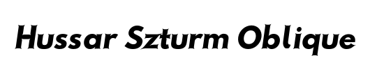 Hussar Szturm