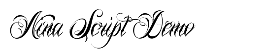 Nina Script Demo