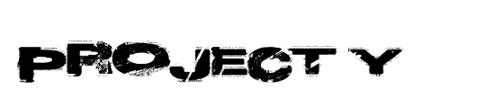 Project Y