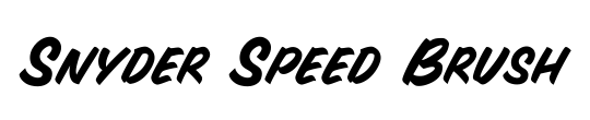 Snyder Speed Brush