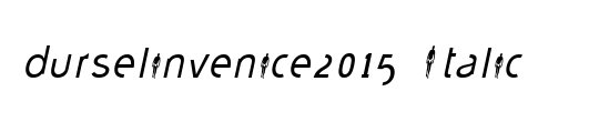 durselinvenice2015