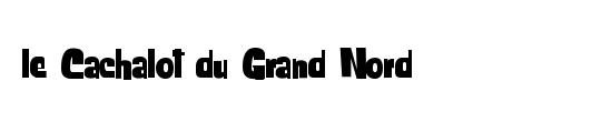 le Cachalot du Grand Nord