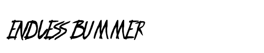 ENDLESS BUMMER
