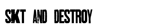 SKT AND DESTROY