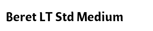 Beret LT Std