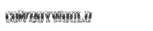 CowboyWould