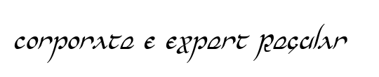 Corporate E Expert BQ