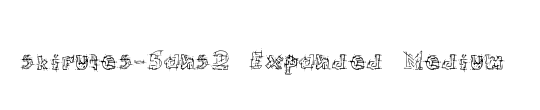 skirules-Sans2