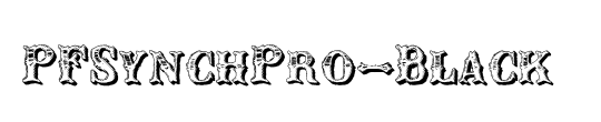 PF Synch Pro Black