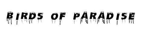 Birds of Paradise