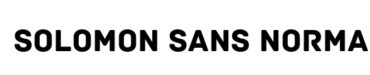 Solomon Sans Normal