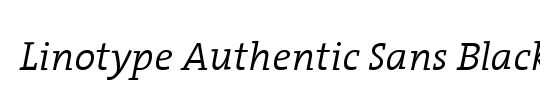LTAuthenticSans Black