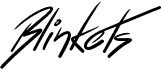 Blinkets
