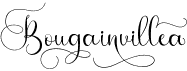 Bougainvillea