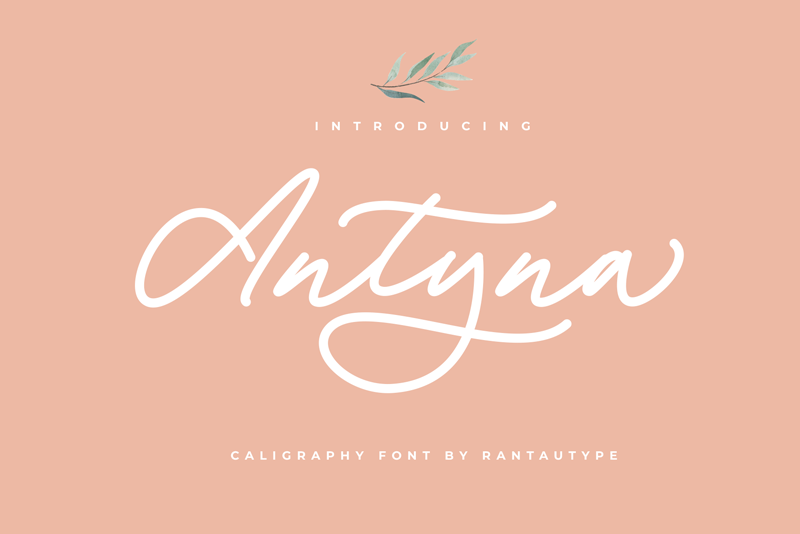 Antyna illustration