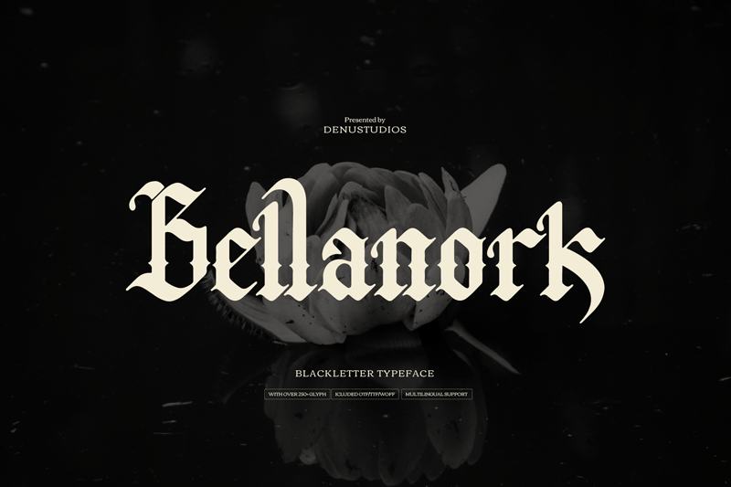 Bellanork illustration