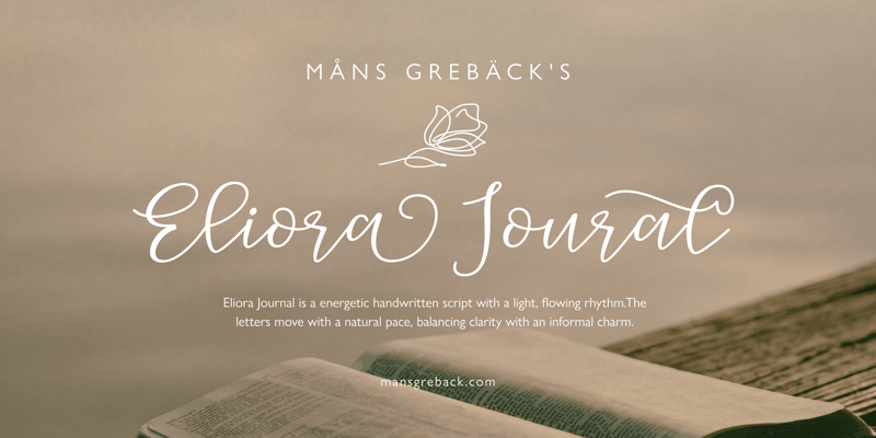 Eliora Journal illustration