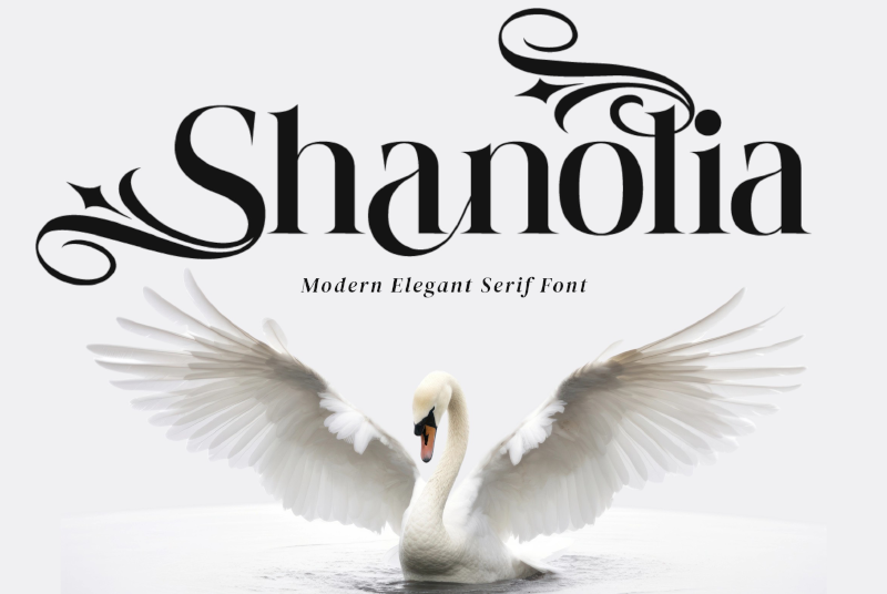 Shanolia illustration
