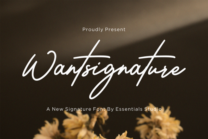 Wantsignature illustration
