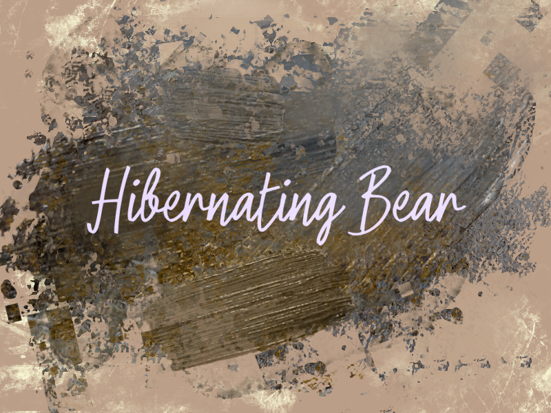 h Hibernating Bear illustration