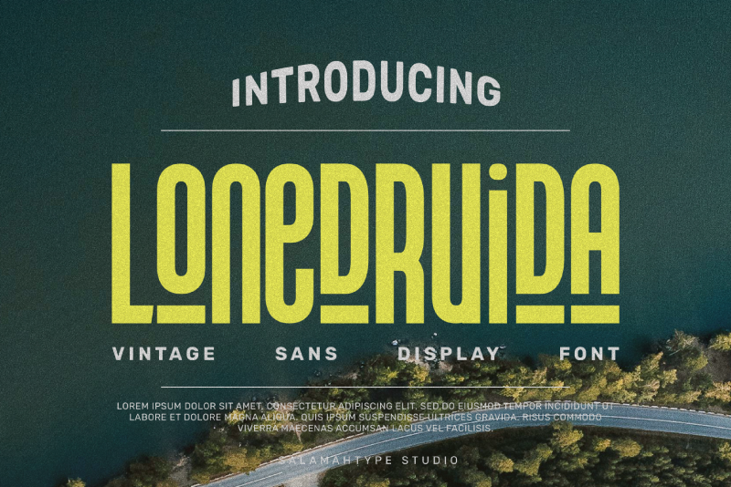 Lonedruida illustration