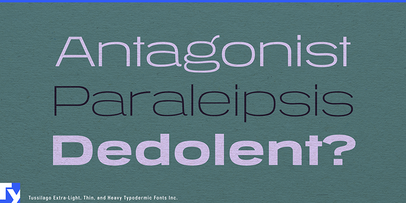 Tussilago illustration