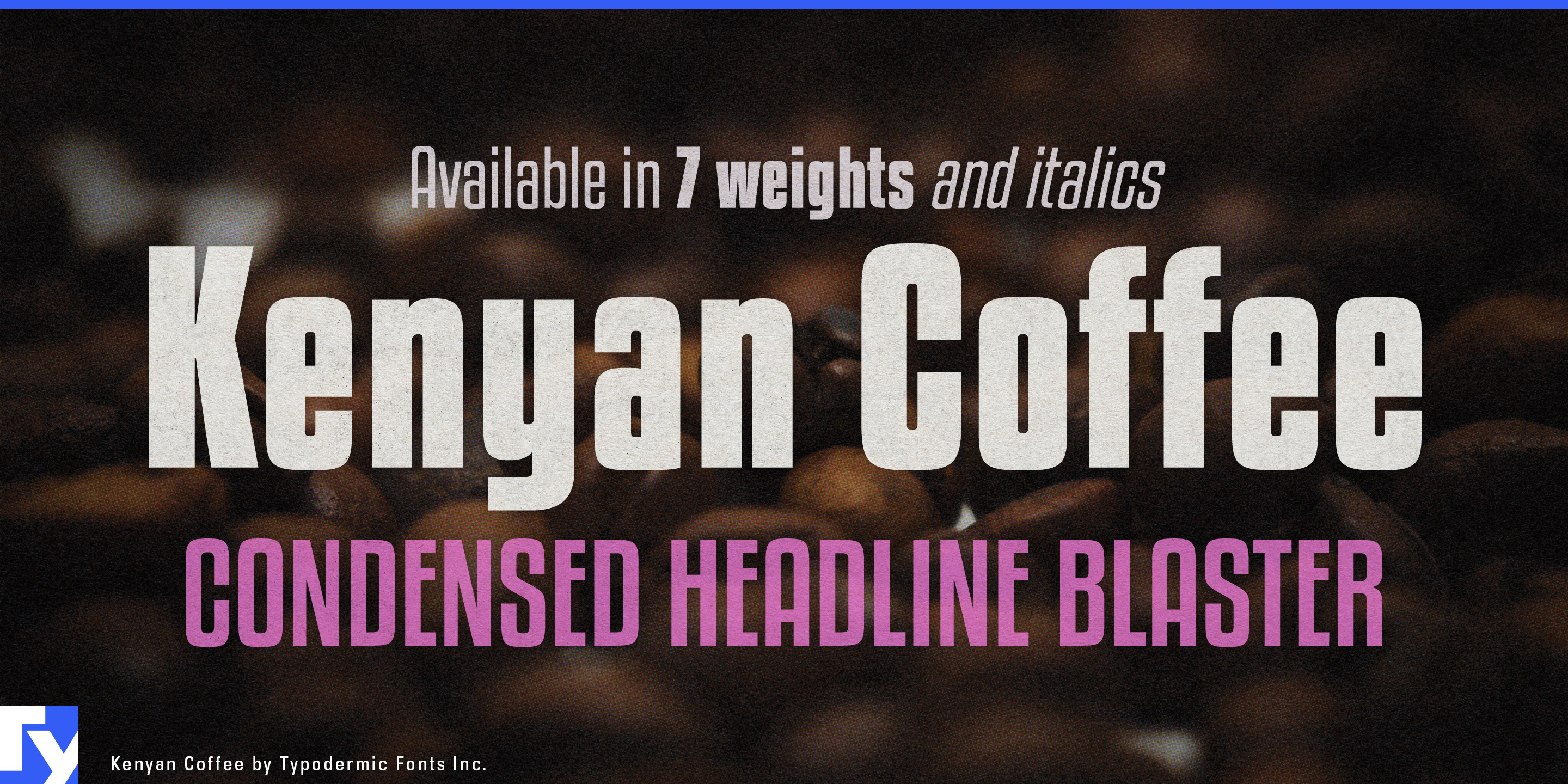 Kenyan Coffee illustration