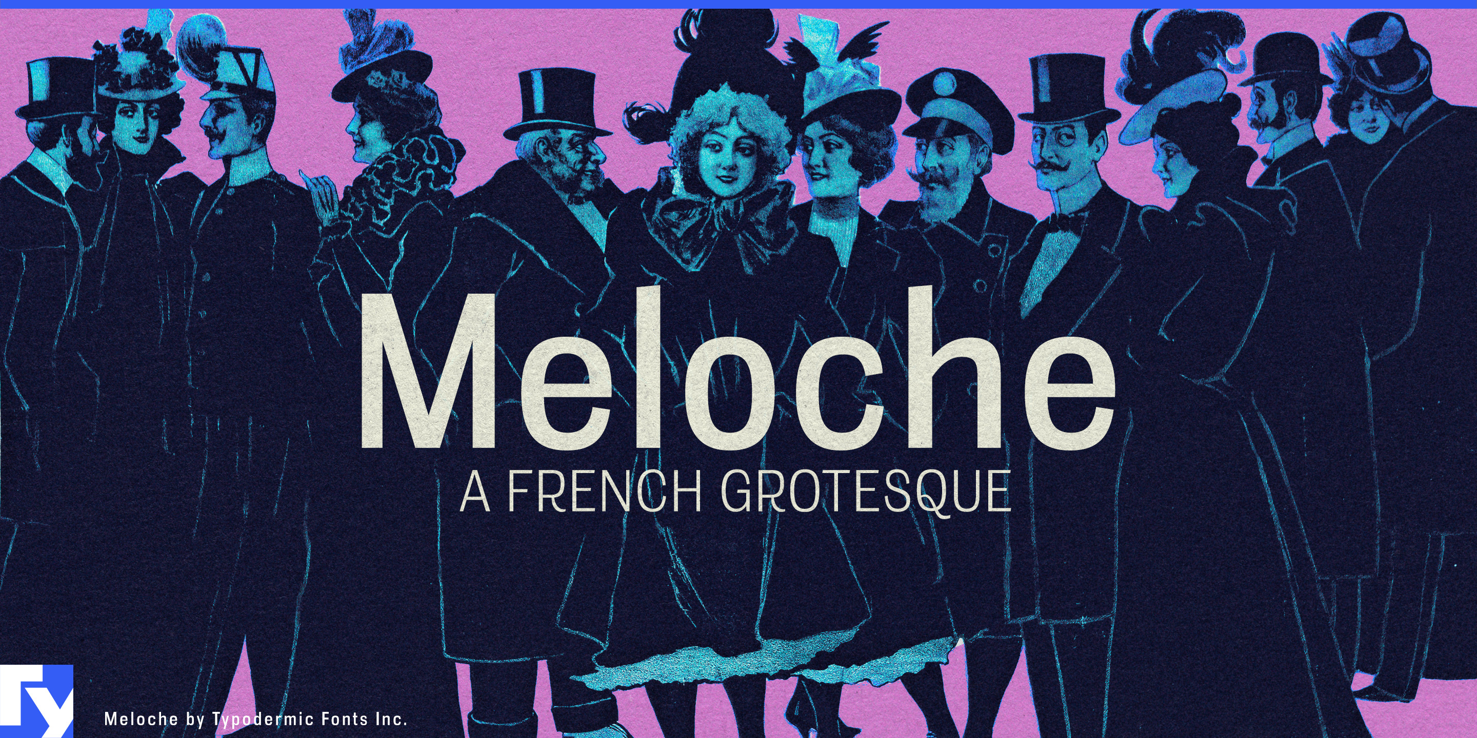 Meloche illustration
