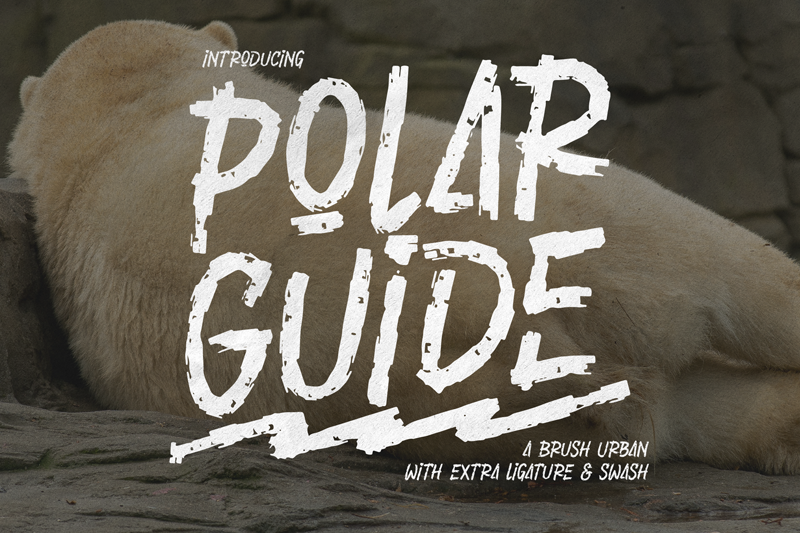 Polar Guide illustration