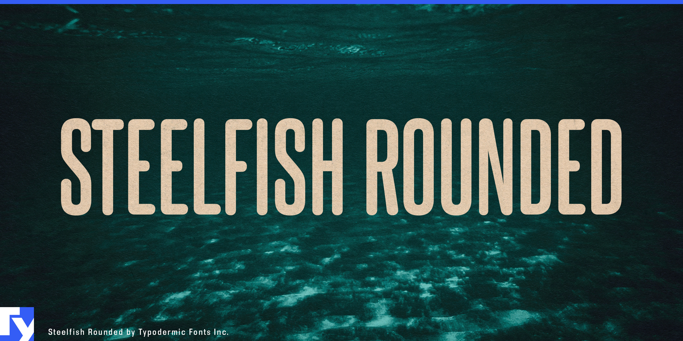 Steelfish Rounded illustration