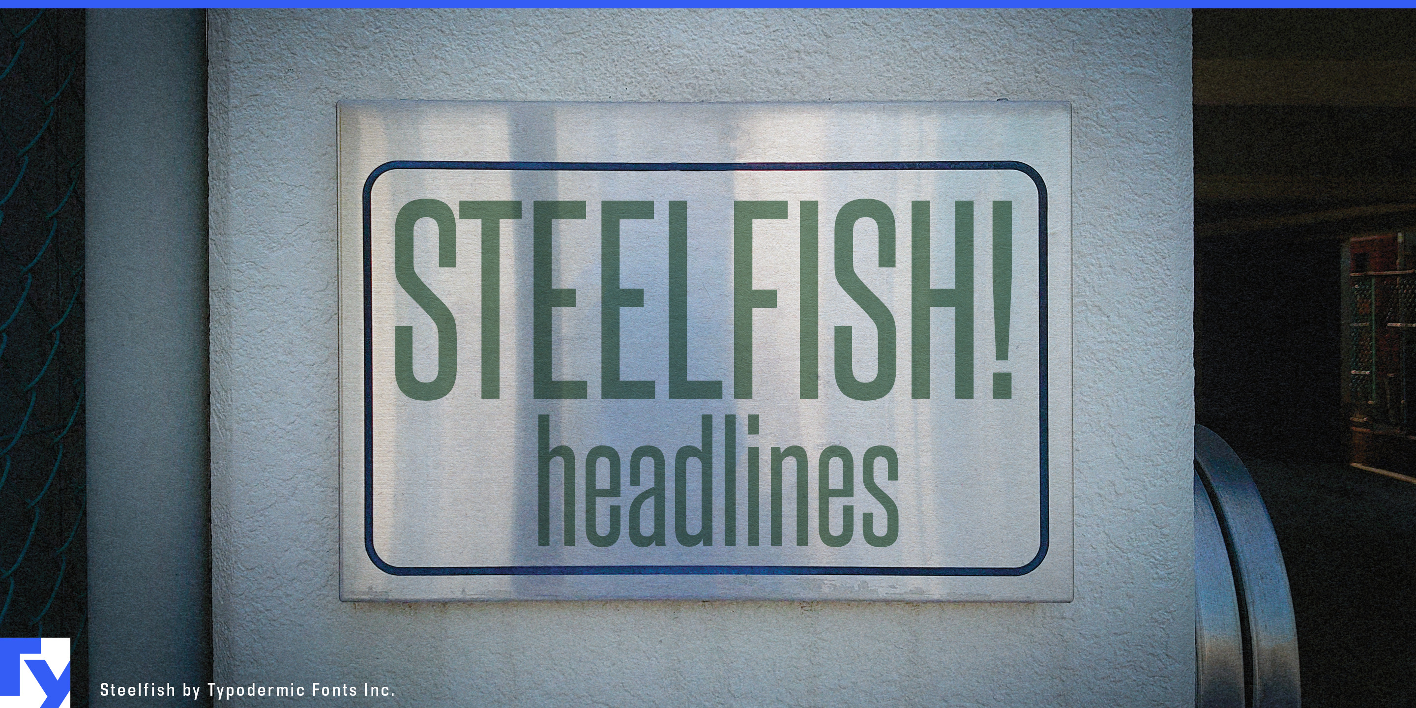 Steelfish illustration