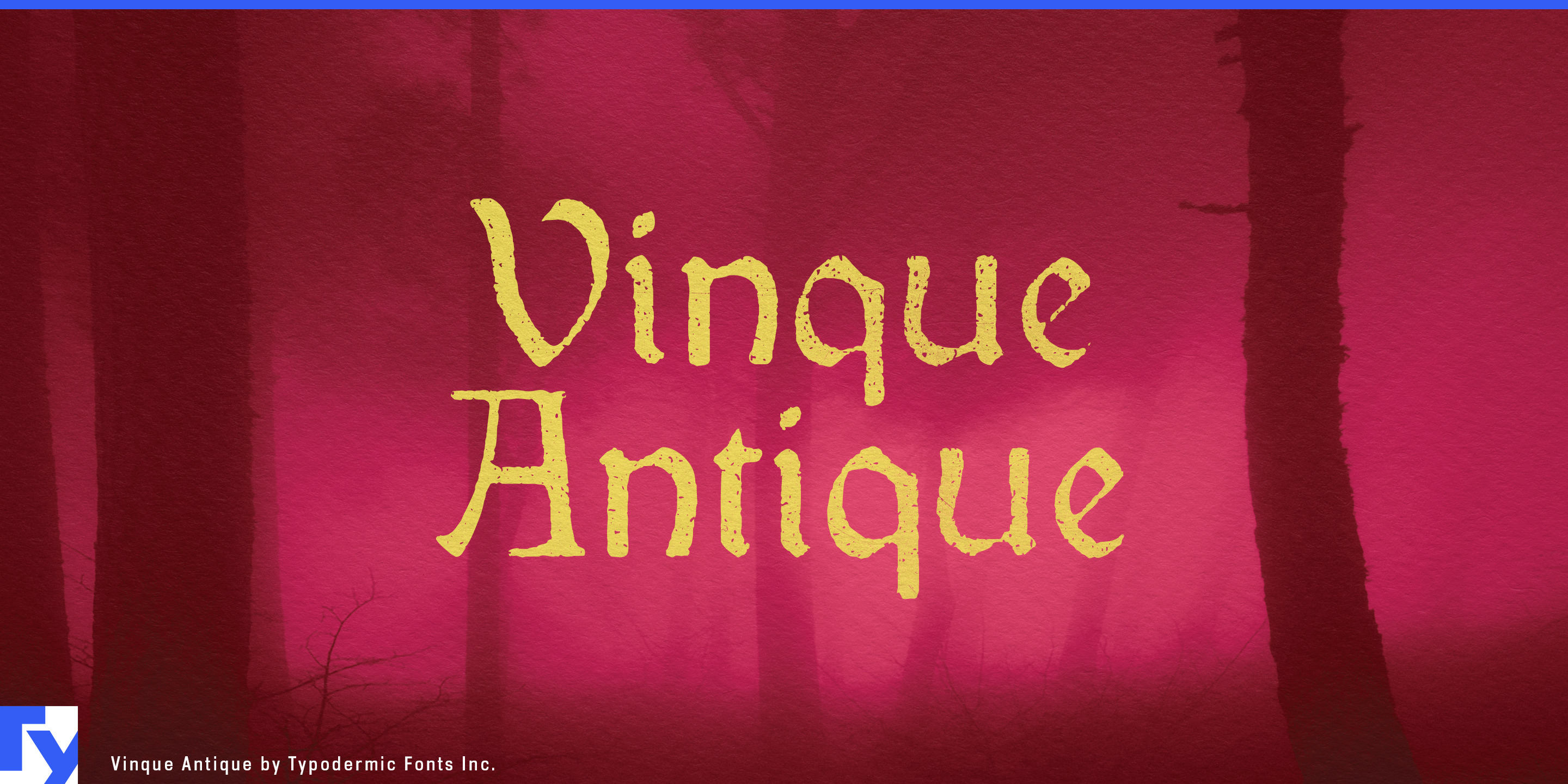 Vinque Antique illustration