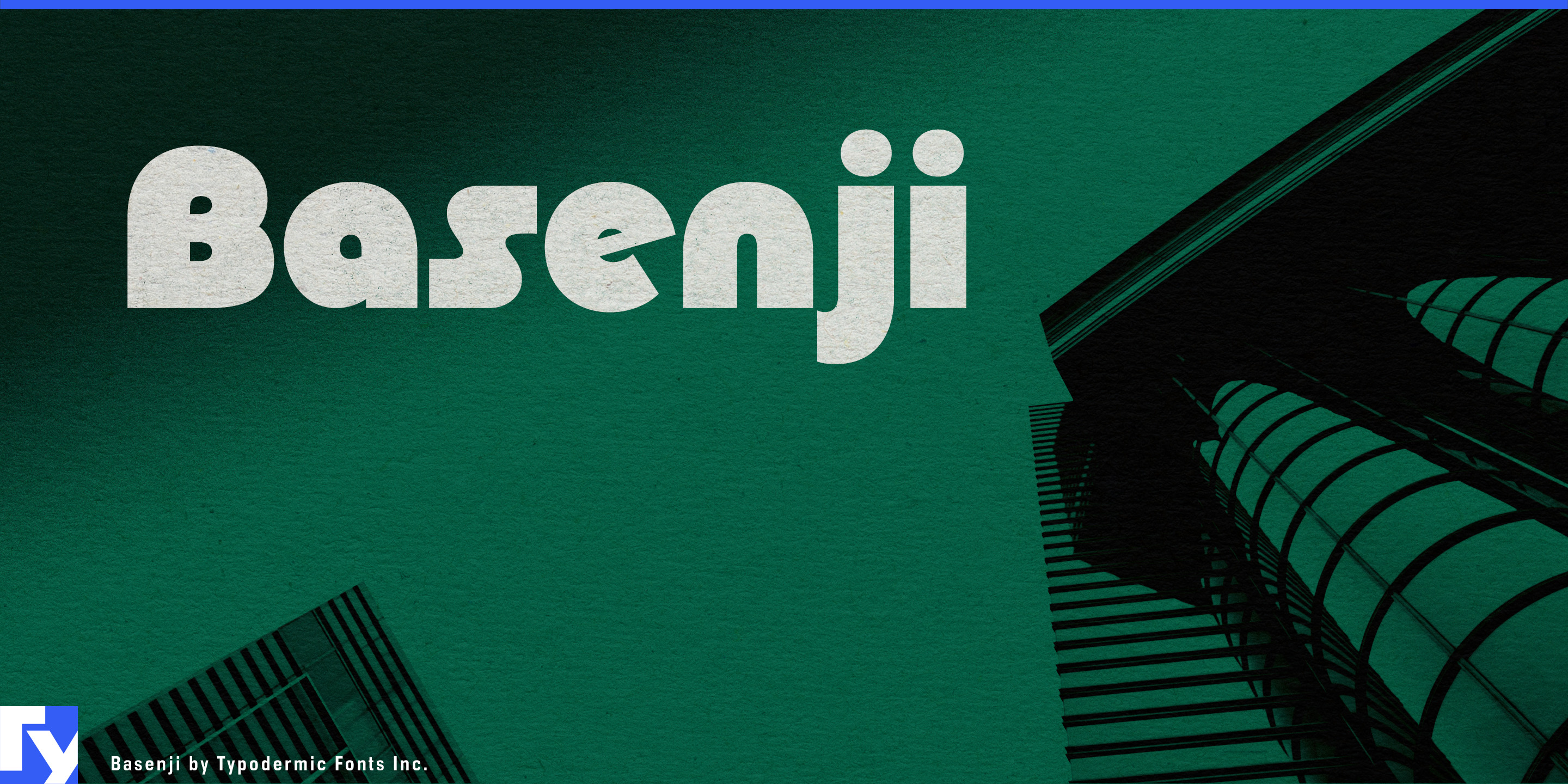 Basenji illustration