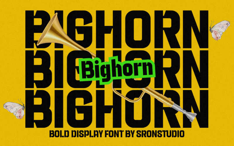 Bighorn illustration