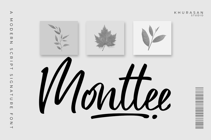 Monttee illustration
